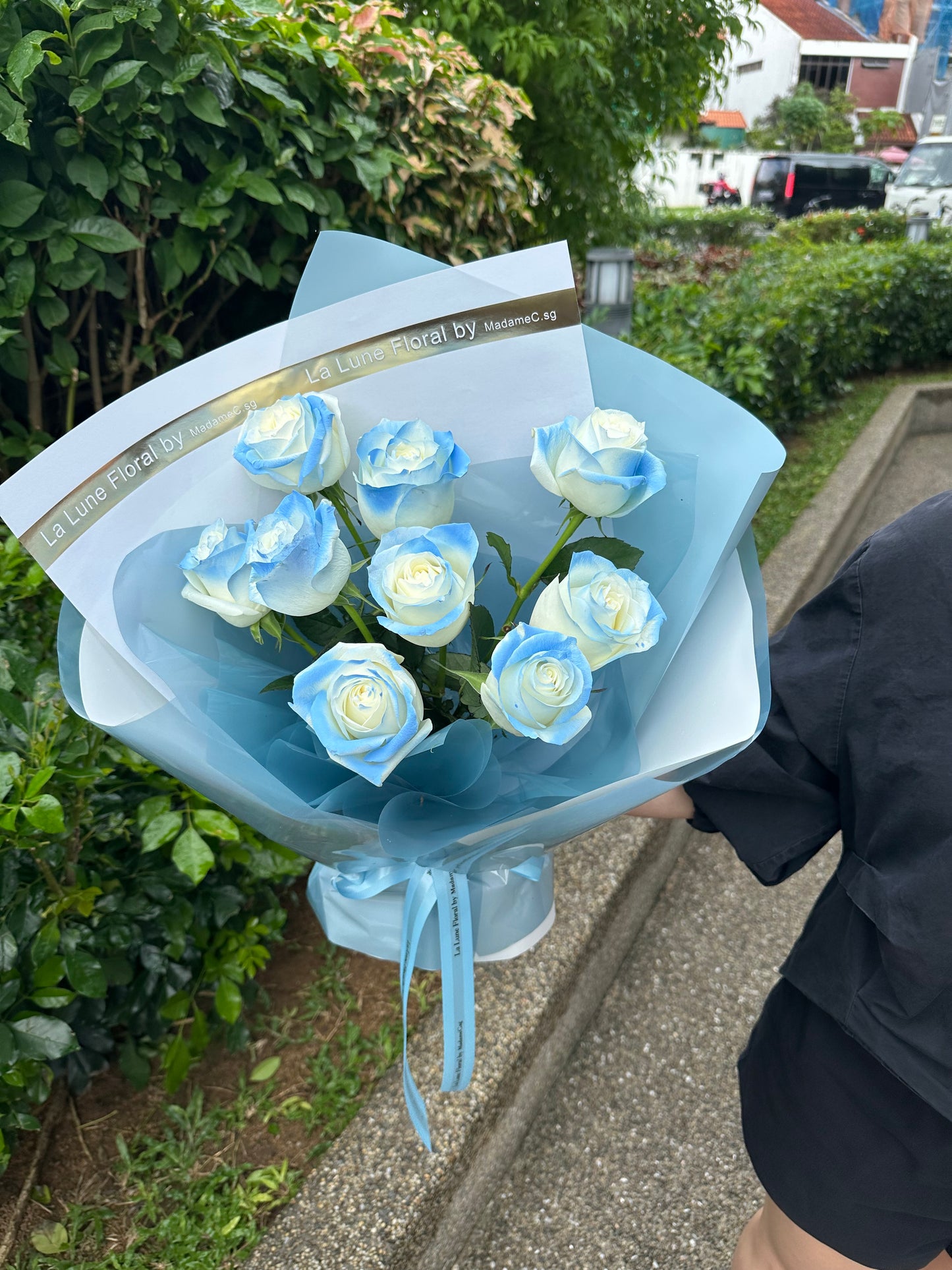 Special Michigan Ice Blue painted roses bouquet (9 stk)