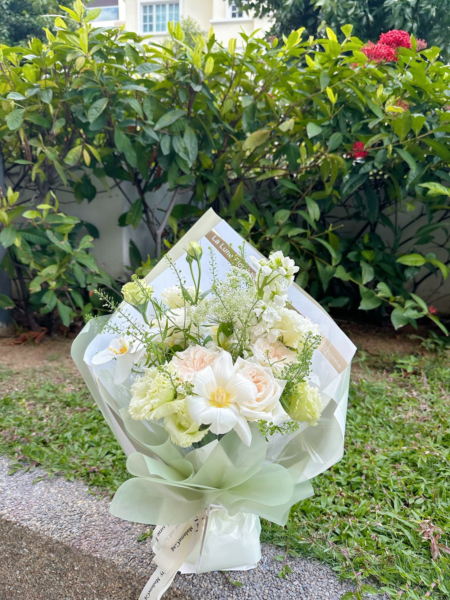 「Summer Dream」【Size S】- Omakase (Florist Choice) Green & White Color Theme