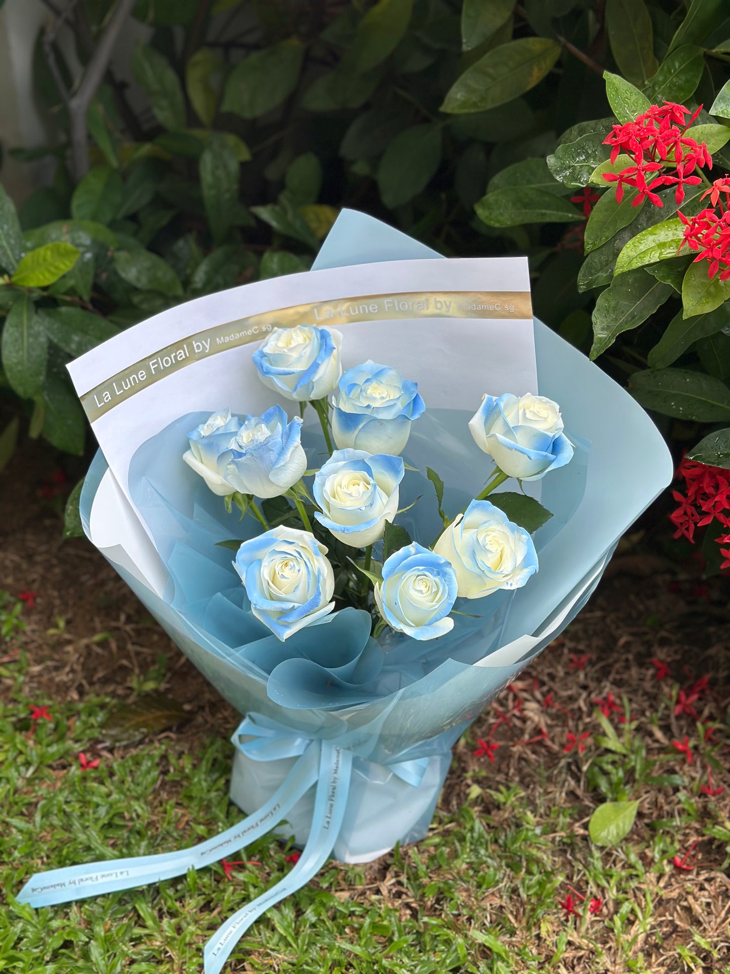 Special Michigan Ice Blue painted roses bouquet (9 stk)