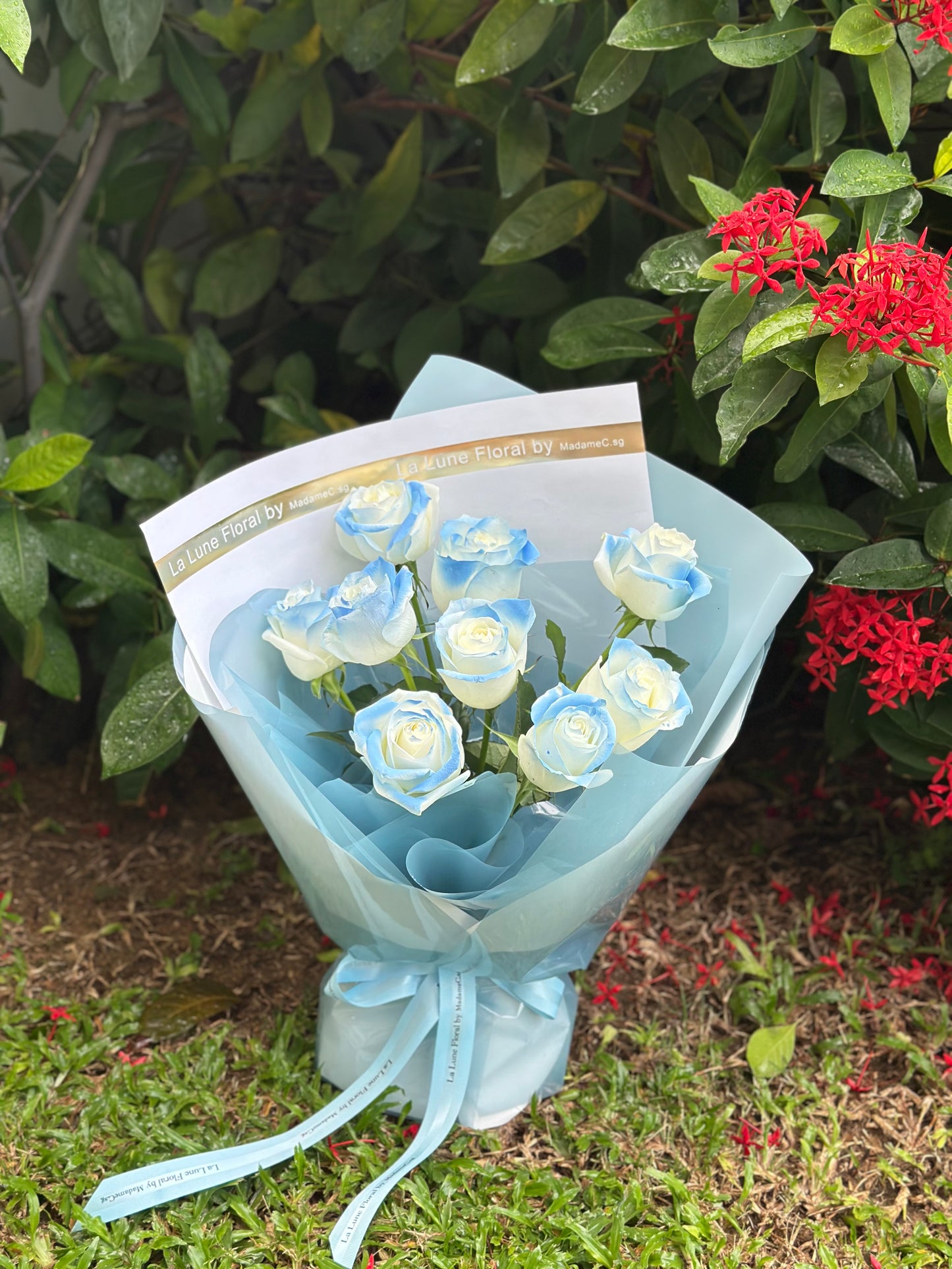 Special Michigan Ice Blue painted roses bouquet (9 stk)