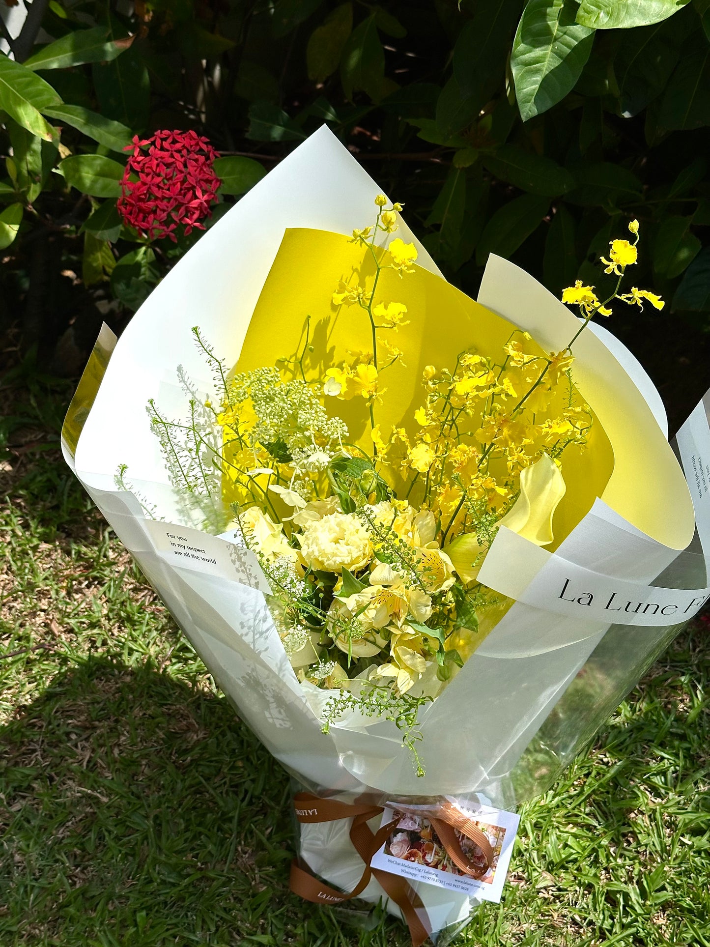 「Summer Dream」【Size S】- Omakase (Florist Choice) Yellow & White Color Theme