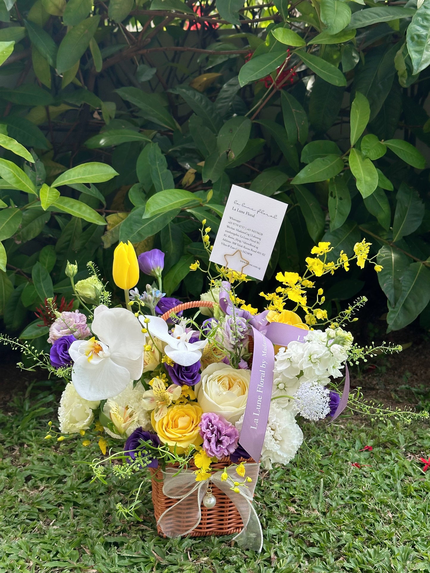 Midnight In Paris【Flower Basket】- Purple & Yellow Color Theme