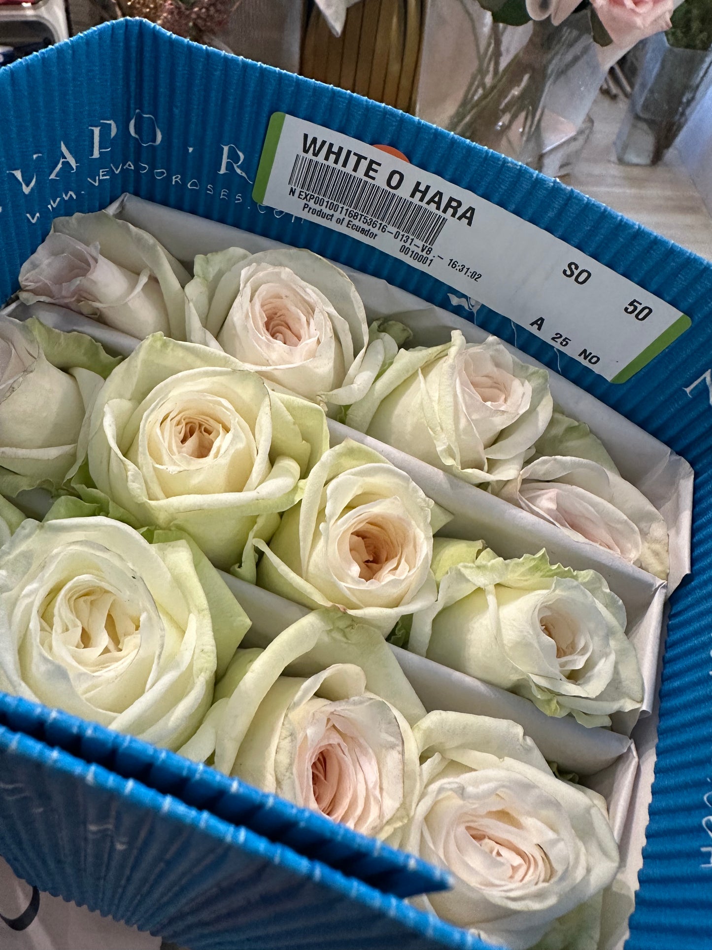 Ecuador Pink O‘hara & White O’hara Bouquet (11 stk )