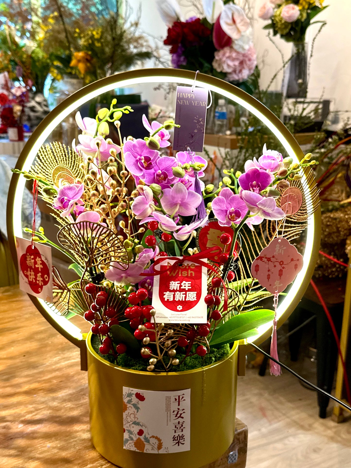 2025 CNY Phalaenopsis Potted蝴蝶兰年宵花带灯