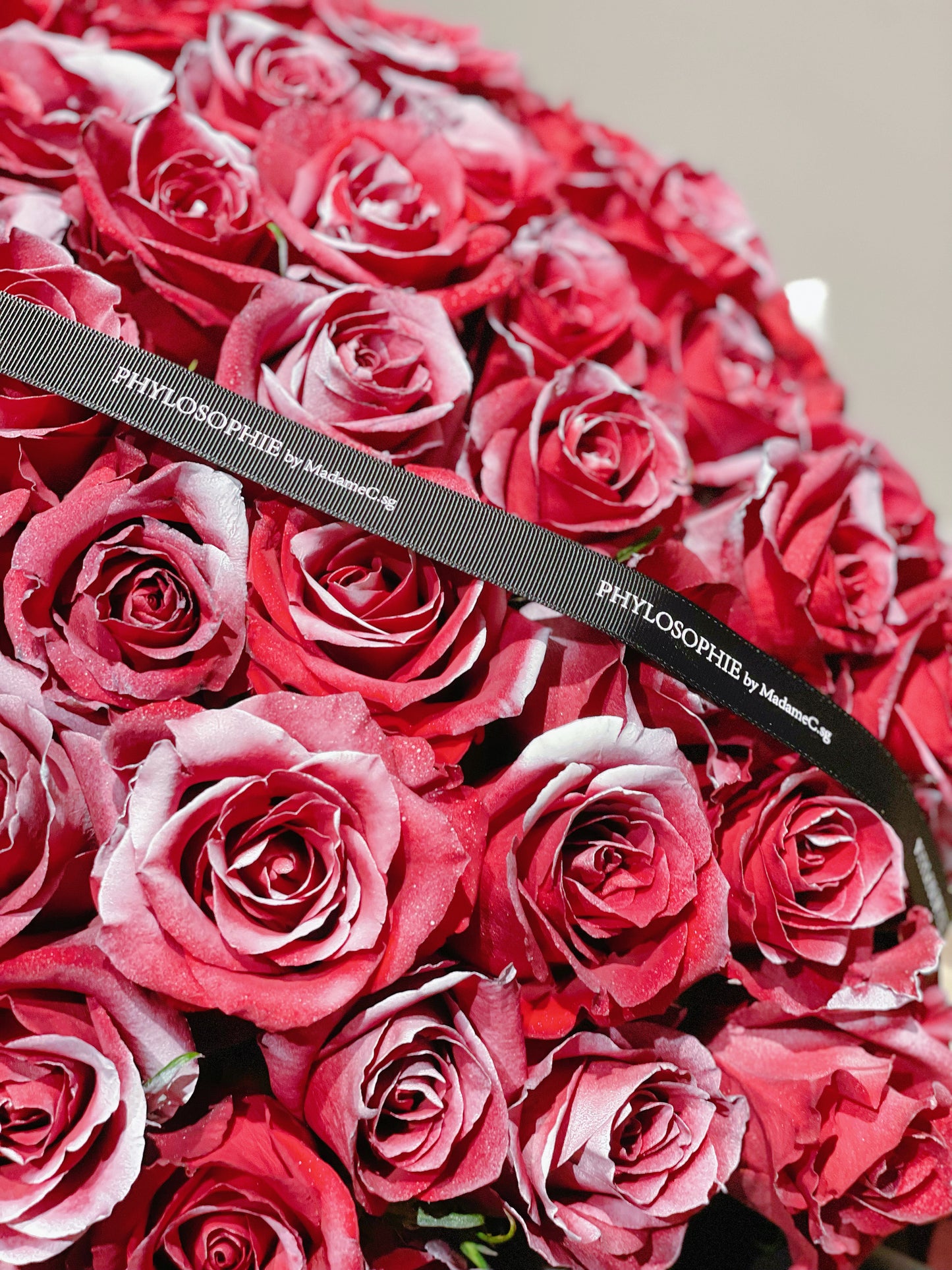 Aurora Silver Painted Red Roses Bouquet (99 stk)