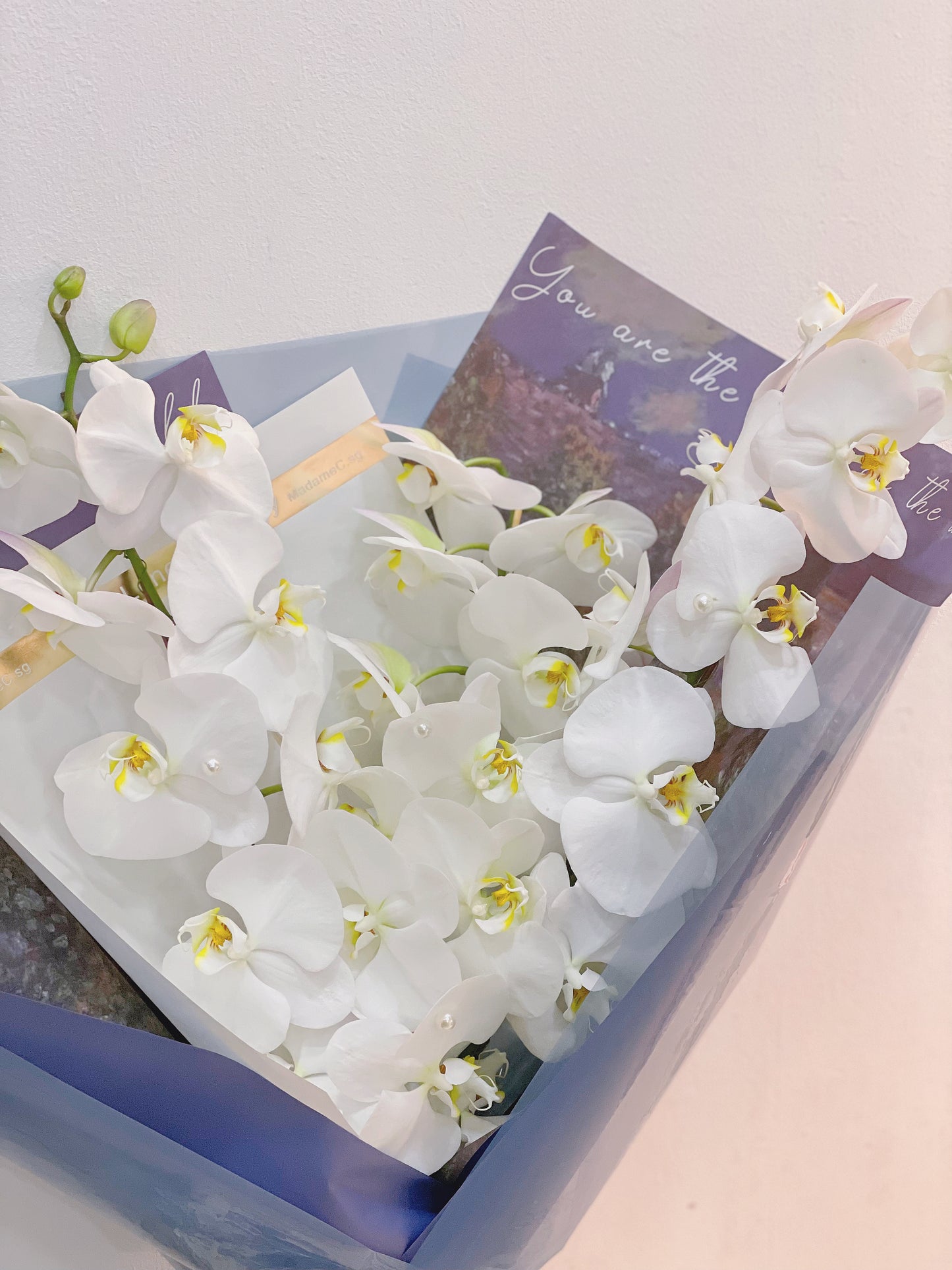Elegance Phalaenosis white Bouquet(3 stk)