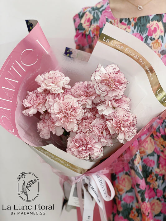 Columbia Carnation Bouquet —— Sweet Pink (11 stk)