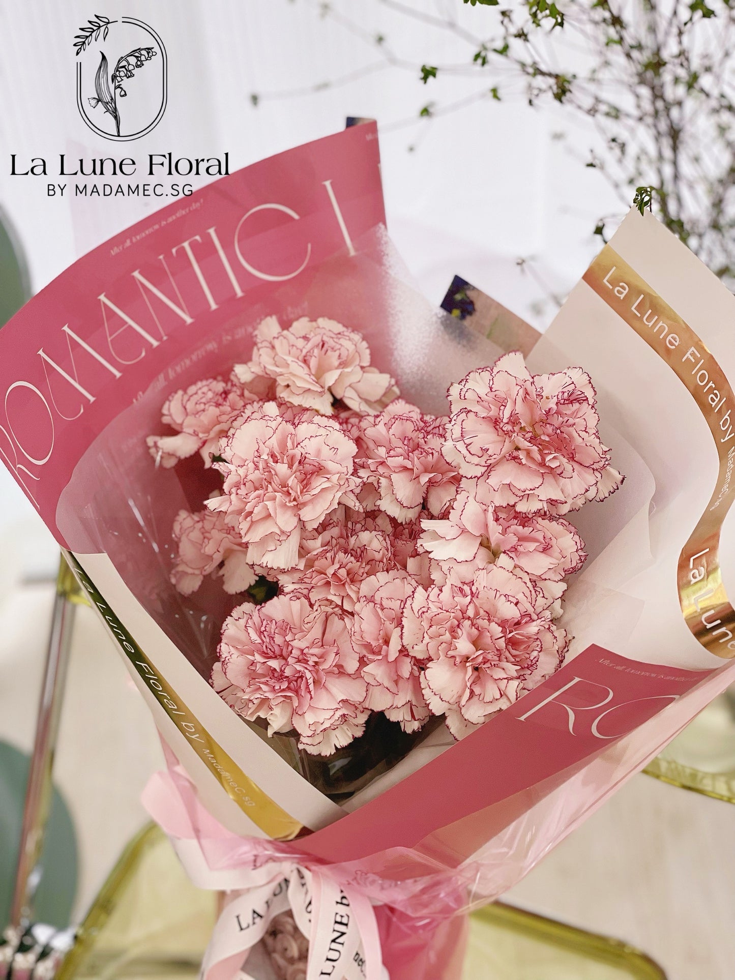 Columbia Carnation Bouquet —— Sweet Pink (11 stk)