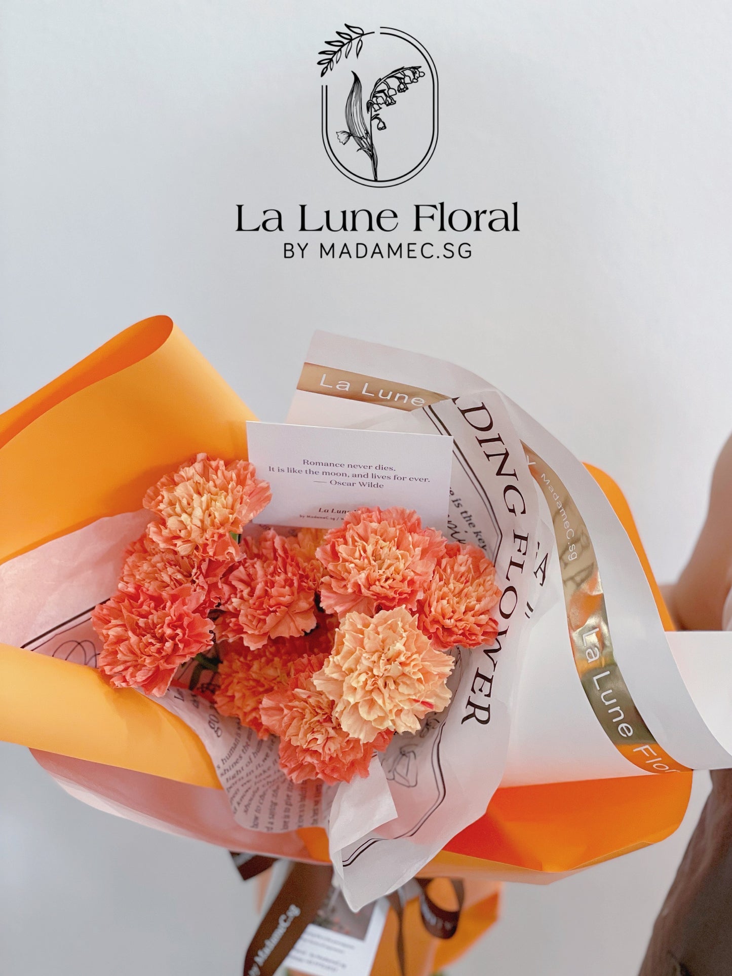 Columbia Carnation Bouquet —— Hermes Orange(11 stk)
