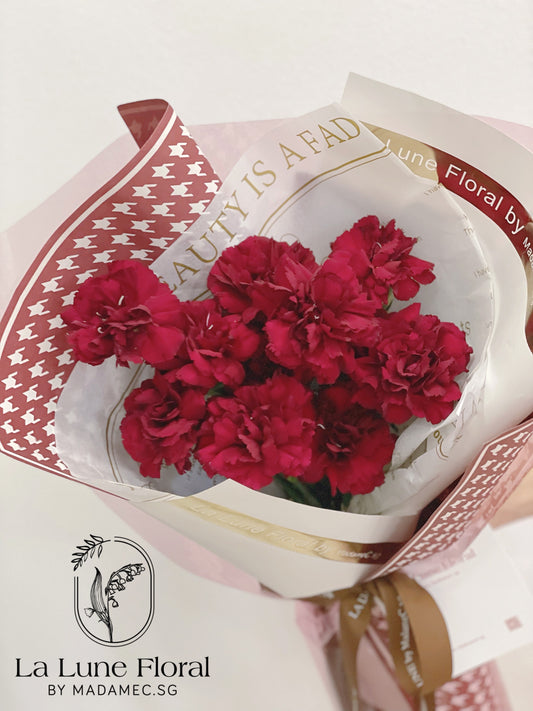 Columbia Carnation Bouquet —— Classic Red(11 stk)