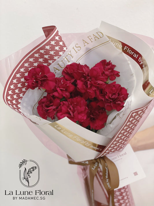 Columbia Carnation Bouquet —— Classic Red(11 stk)