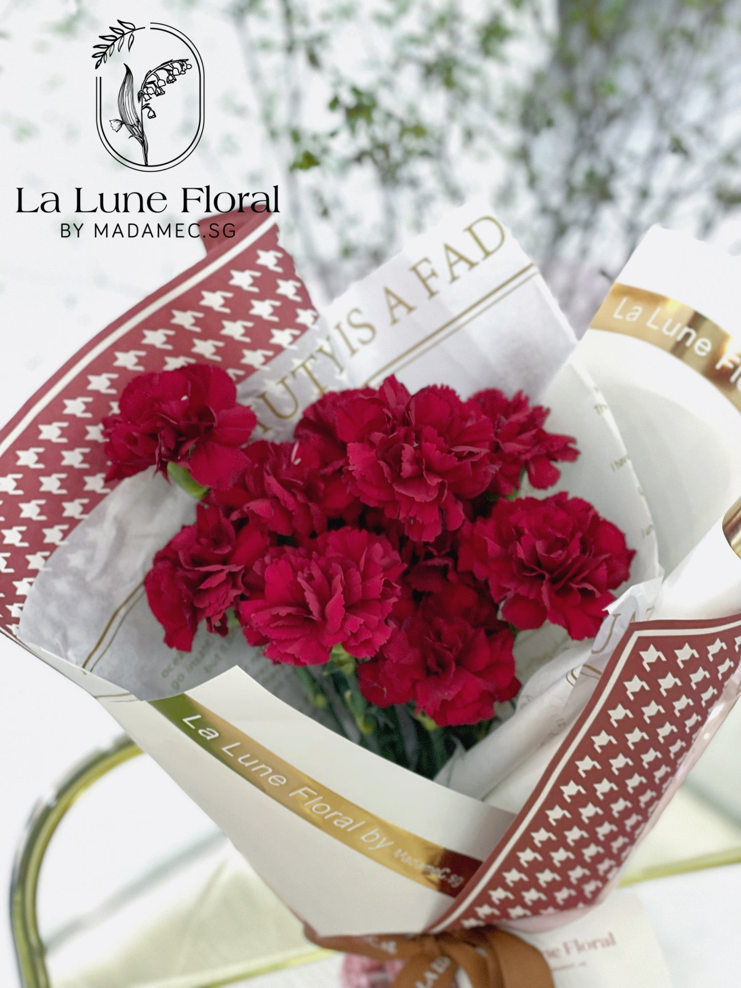 Columbia Carnation Bouquet —— Classic Red(11 stk)