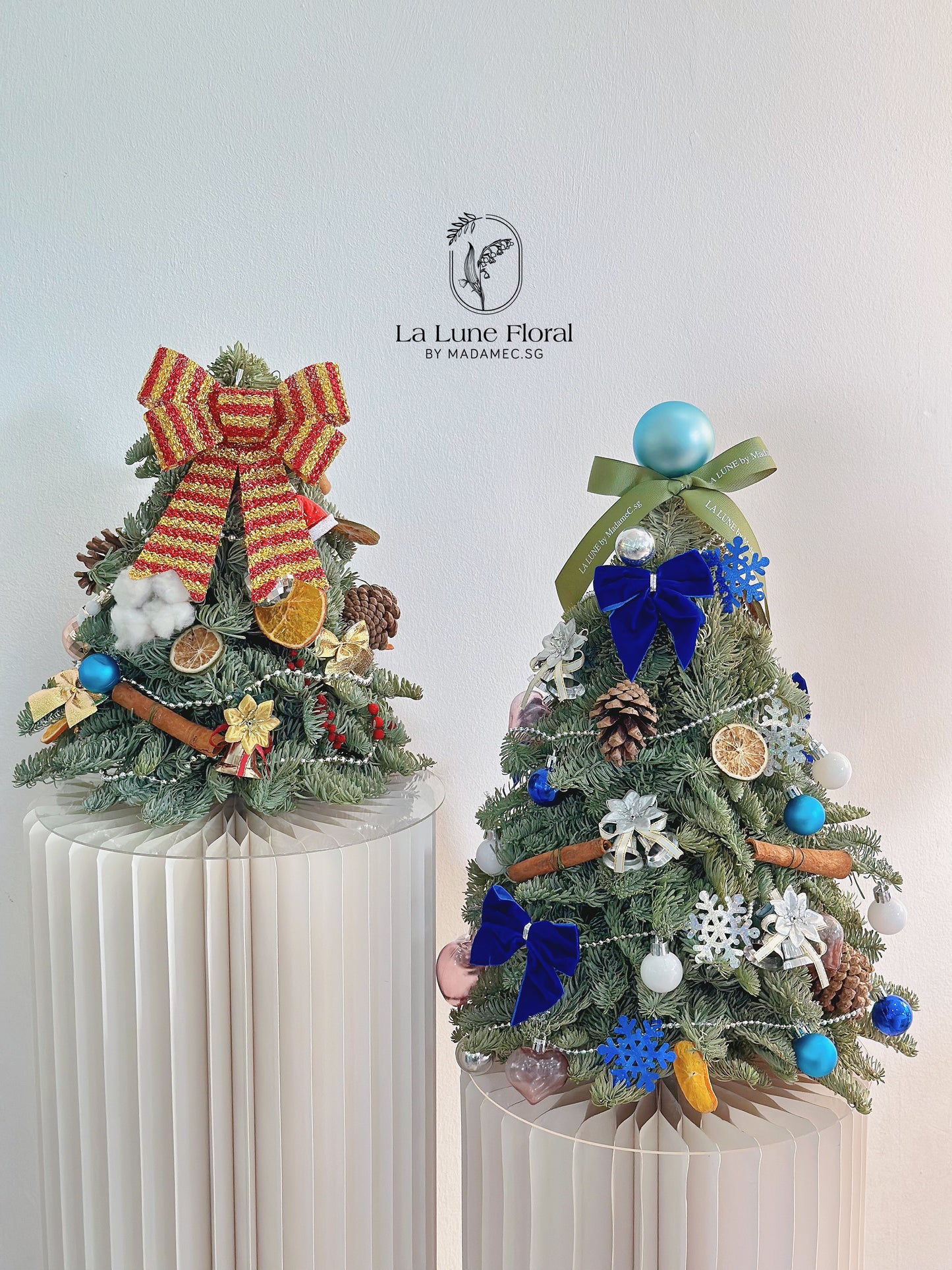 Real,Fresh&Live Christmas Tree 40cm - With Decorate