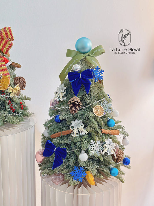 Real,Fresh&Live Christmas Tree 40cm - With Decorate