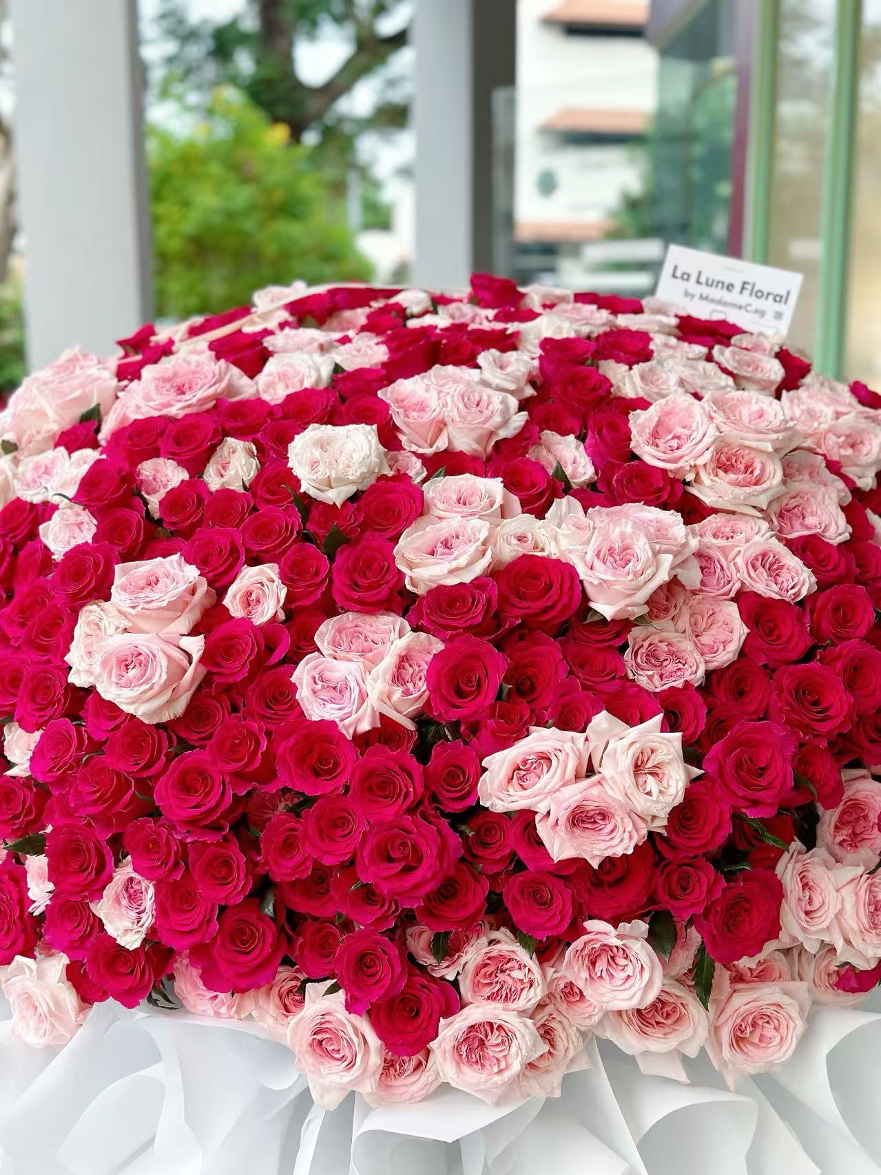 Super Romantic 999 stalk Roses Bouquet (.Pink O'Hara and Pink Floyd Rose )
