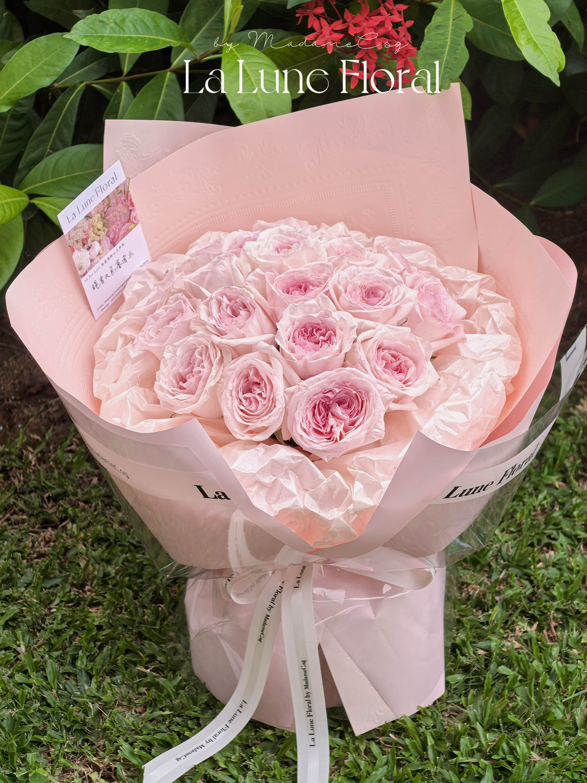 Pink Kenyan Roses Kenya Pink O‘hara Rose Bouquet - 19stk – La Lune Floral SG