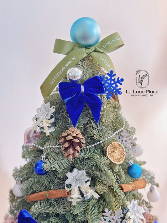 Real,Fresh&Live Christmas Tree 40cm - With Decorate