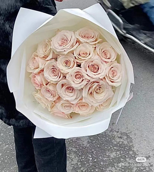 Light Beige Color Rose - Quicksands Roses 19stk